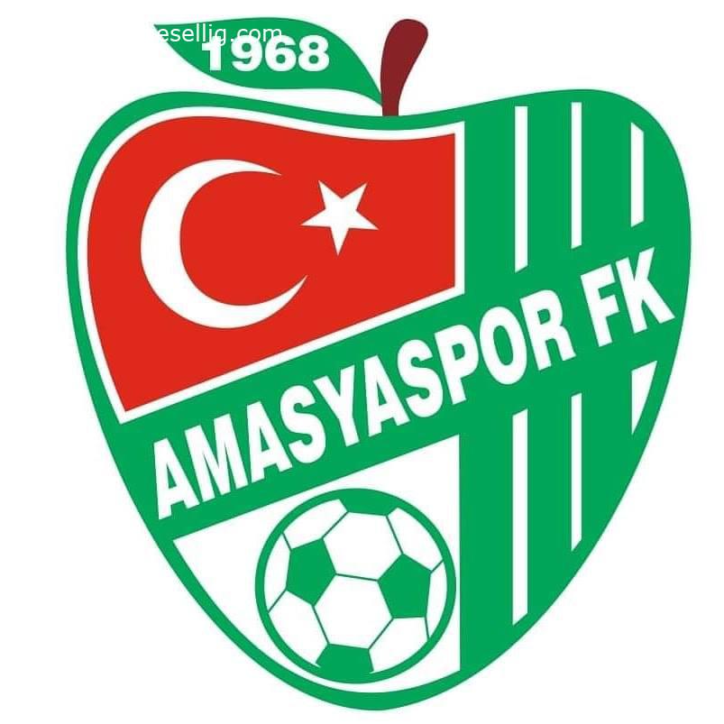 Amasyaspor'da Transferler