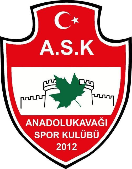 Anadolukavağıspor uzun aradan sonra liglere katılıyor